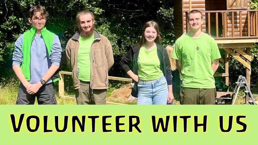 Volunteer with us: Help great oaks grow! 